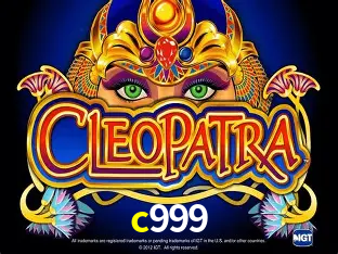 Descubra a Essência do c999: Nossa História e Compromissos